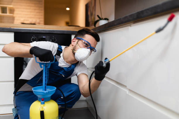 Best Emergency Pest Control  in Indiana, PA