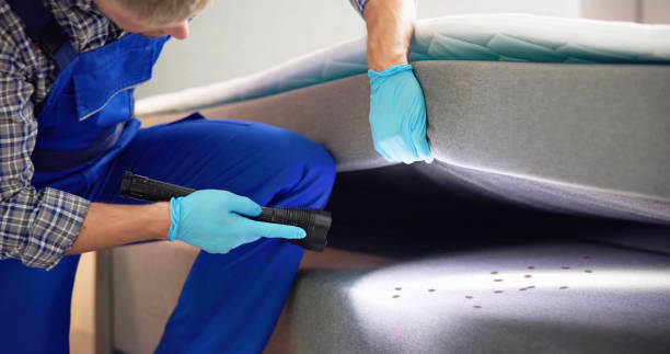 Best Affordable Pest Control Services  in Indiana, PA